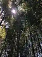鹿島台神社の自然