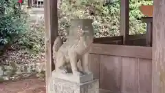 大歳神社の狛犬