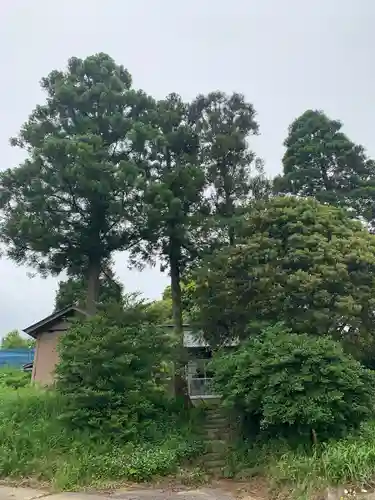 水神社の本殿・本堂