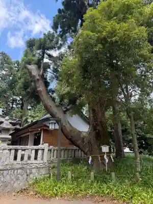 一幣司浅間神社の{uncategorized: "未分類", other: "その他", undefined: "問題あり", building: "その他建物", grave: "お墓", sacred_gate: "鳥居", guardian: "狛犬", statue: "像", buddha: "仏像", history: "歴史", nature: "自然", garden: "庭園", animal: "動物", pagoda: "塔", temizu: "手水舎", mountain_gate: "山門・神門", sanctuary: "本殿・本堂", subordinate: "末社・摂社", art: "芸術", scenery: "景色", jizo: "地蔵", ema: "絵馬", goshuin: "御朱印", omikuji: "おみくじ", items: "授与品その他", amulet: "お守り", goshuincho: "御朱印帳", eats: "食事", festival: "お祭り", votive_dance: "神楽", shichigosan: "七五三参", wedding: "結婚式", experience: "体験その他", initially: "初詣", around: "周辺", anti_infection: "感染症対策"}