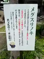 秩父札所十三番 慈眼寺のその他建物