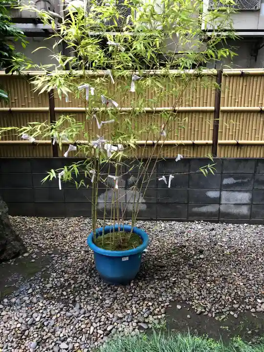 飯倉熊野神社の自然