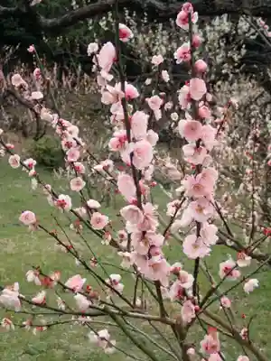 師岡熊野神社の御朱印
