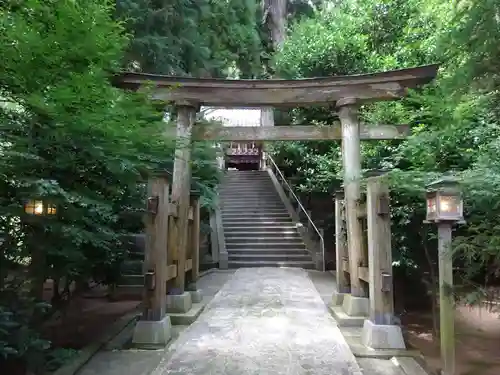 田間神社の鳥居