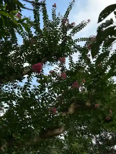 国宝 大法寺(長野県)