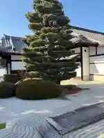 大光明寺の{uncategorized: "未分類", other: "その他", undefined: "問題あり", building: "その他建物", grave: "お墓", sacred_gate: "鳥居", guardian: "狛犬", statue: "像", buddha: "仏像", history: "歴史", nature: "自然", garden: "庭園", animal: "動物", pagoda: "塔", temizu: "手水舎", mountain_gate: "山門・神門", sanctuary: "本殿・本堂", subordinate: "末社・摂社", art: "芸術", scenery: "景色", jizo: "地蔵", ema: "絵馬", goshuin: "御朱印", omikuji: "おみくじ", items: "授与品その他", amulet: "お守り", goshuincho: "御朱印帳", eats: "食事", festival: "お祭り", votive_dance: "神楽", shichigosan: "七五三参", wedding: "結婚式", experience: "体験その他", initially: "初詣", around: "周辺", anti_infection: "感染症対策"}