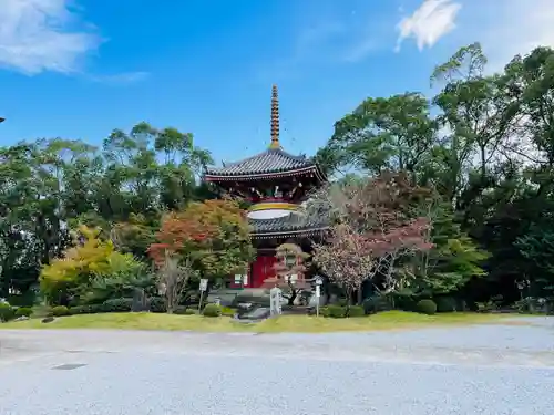 温泉山 安楽寺(四国霊場第六番札所)の建物その他