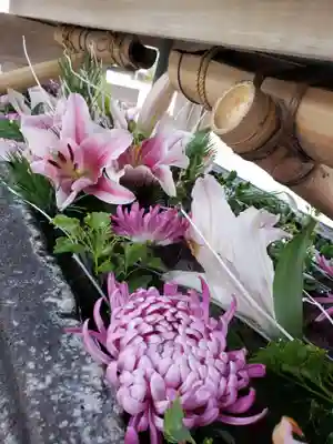 鳩森八幡神社(東京都)