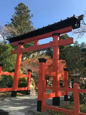 丹生都比売神社の鳥居