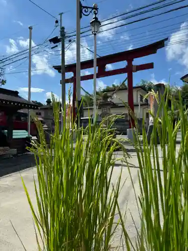 大鏑神社(福島県)