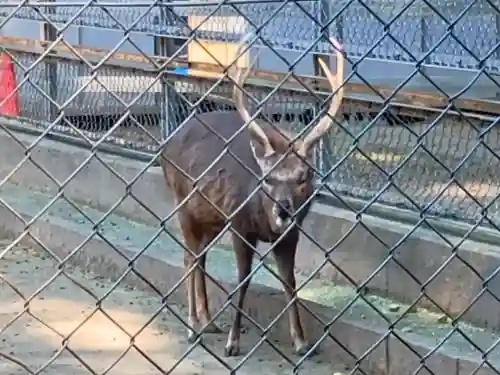 鹿島神宮の{uncategorized: "未分類", other: "その他", undefined: "問題あり", building: "その他建物", grave: "お墓", sacred_gate: "鳥居", guardian: "狛犬", statue: "像", buddha: "仏像", history: "歴史", nature: "自然", garden: "庭園", animal: "動物", pagoda: "塔", temizu: "手水舎", mountain_gate: "山門・神門", sanctuary: "本殿・本堂", subordinate: "末社・摂社", art: "芸術", scenery: "景色", jizo: "地蔵", ema: "絵馬", goshuin: "御朱印", omikuji: "おみくじ", items: "授与品その他", amulet: "お守り", goshuincho: "御朱印帳", eats: "食事", festival: "お祭り", votive_dance: "神楽", shichigosan: "七五三参", wedding: "結婚式", experience: "体験その他", initially: "初詣", around: "周辺", anti_infection: "感染症対策"}