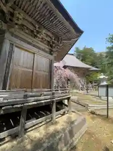 国上寺(新潟県)(2025年04月21日(月) 16時02分05秒投稿)