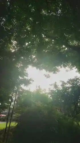 白髭社(愛知県)