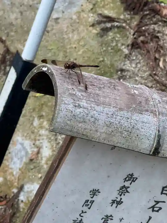 鹿島大神宮(福島県)