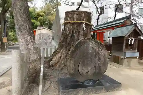 生田神社の自然