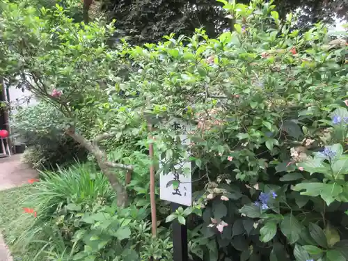 円覚寺(神奈川県)