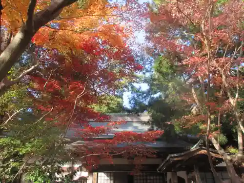 覚園寺の景色