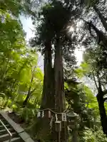 談山神社(奈良県)