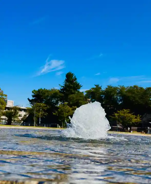 福井神社(福井県)