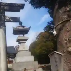 稲葉神社(愛知県)