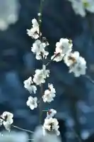 正安寺(神奈川県)