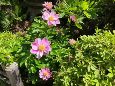 浄正寺(東京都)