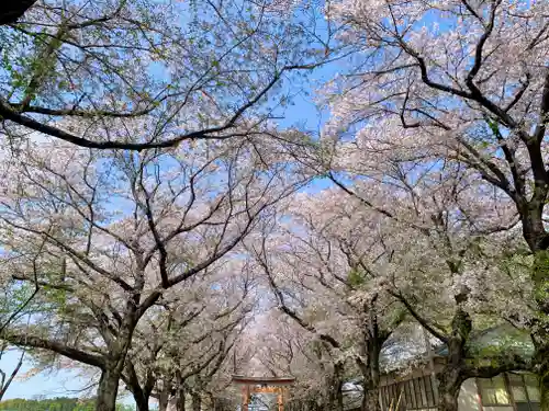 東蕗田天満社の自然