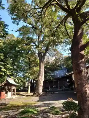 川関神社(静岡県)