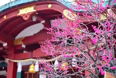 亀戸天神社(東京都)