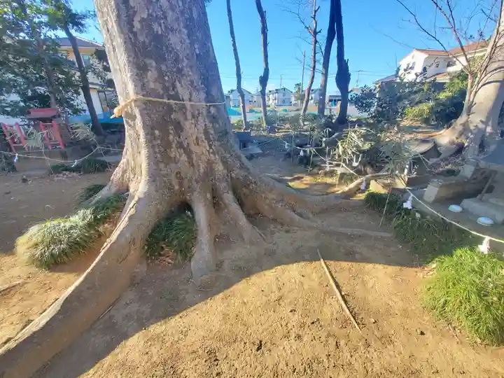 細井神社(群馬県)