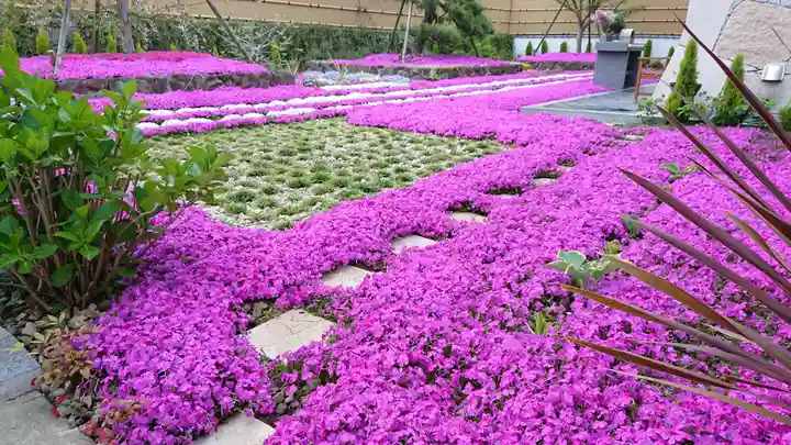 寿量山 速成寺の庭園