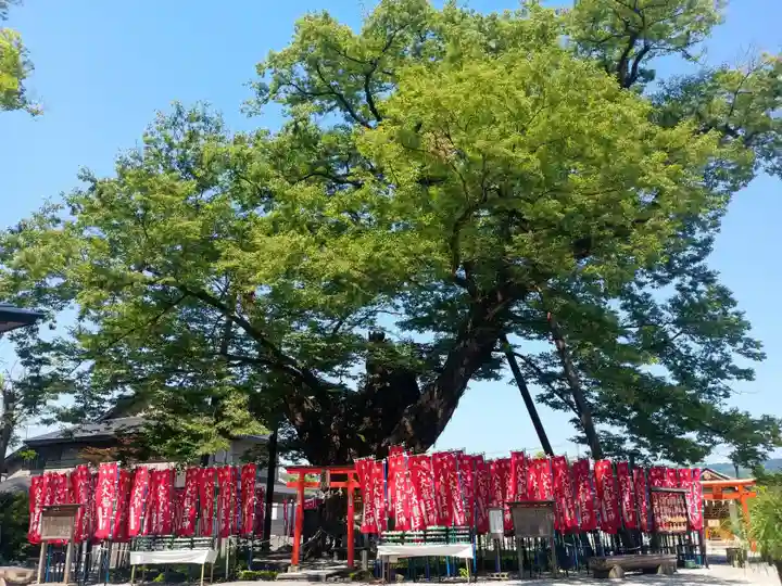 秩父今宮神社の景色