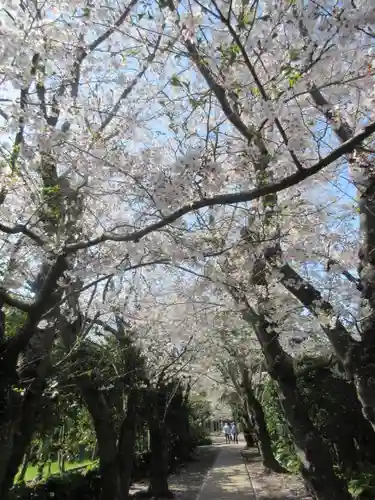 極楽寺（霊鷲山感應院極楽律寺）の景色