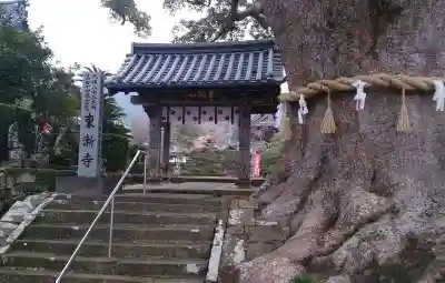 東漸寺の山門・神門