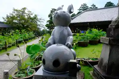三室戸寺の狛犬