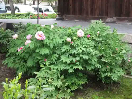 建仁寺（建仁禅寺）の庭園