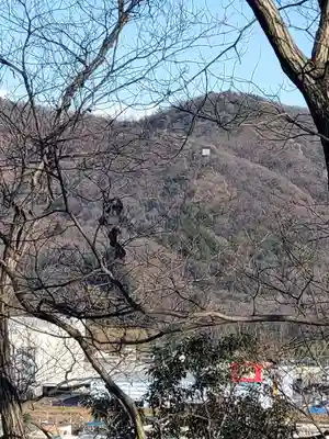 雷電神社 奥の院（助戸東山町）(栃木県)
