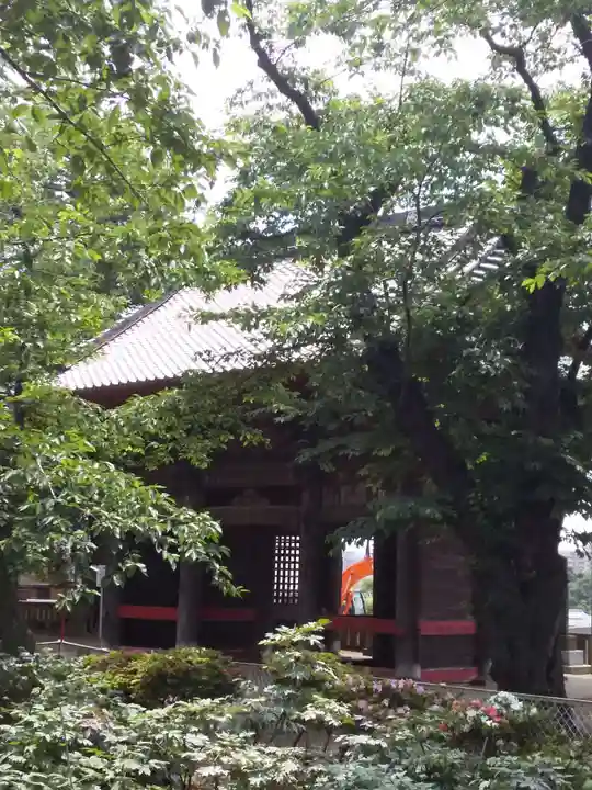千葉寺の山門・神門