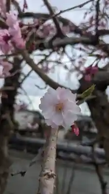 聚福院(愛知県)