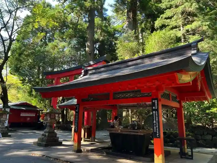 箱根神社の手水舎