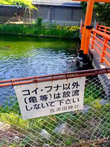 真清田神社の庭園