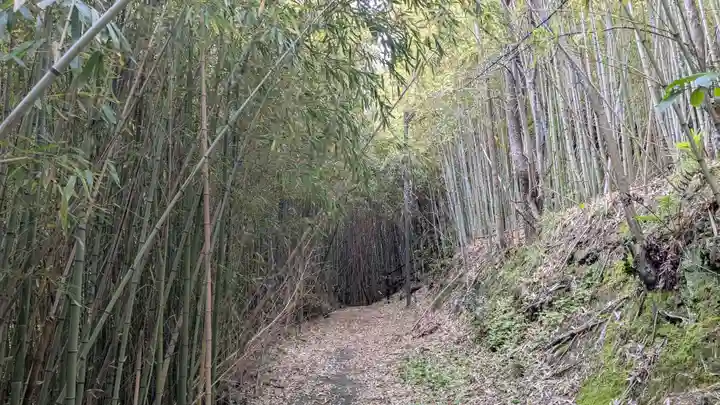 愛宕神社の自然