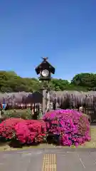 玉敷神社の庭園