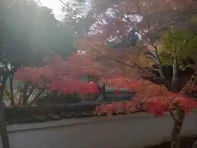 神峯山寺(大阪府)