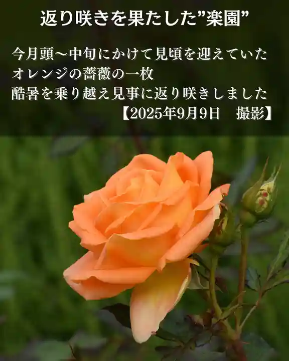 宝光寺(北海道)