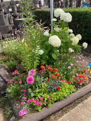 浄名院(東京都)