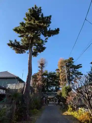 田端神社(東京都)