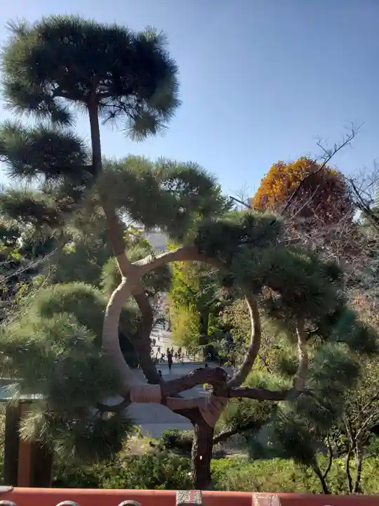 清水観音堂(東京都)