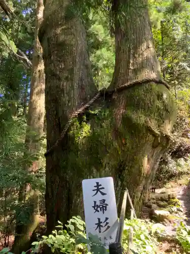 玉置神社(奈良県)