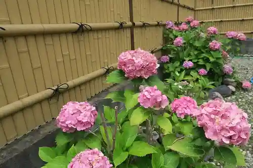 大松禅寺の庭園